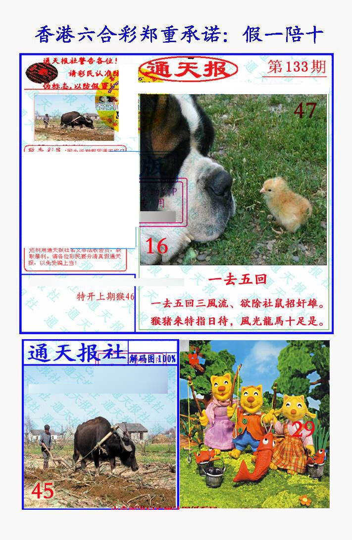 133期假一陪十通天报[图]