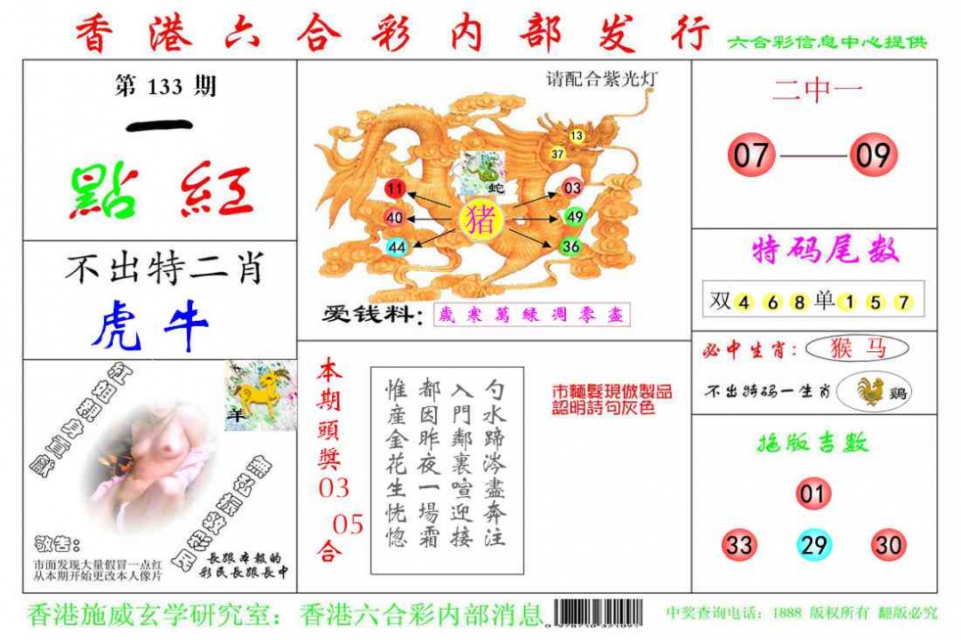 133期一点红[图]