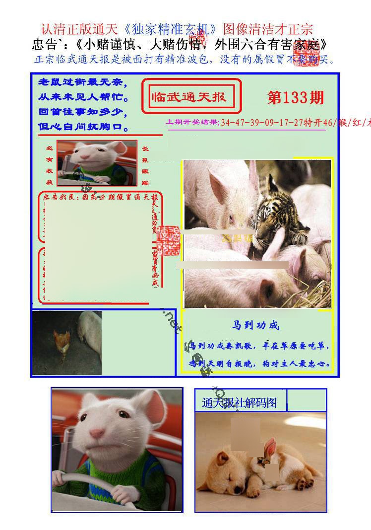 133期临武通天报[图]