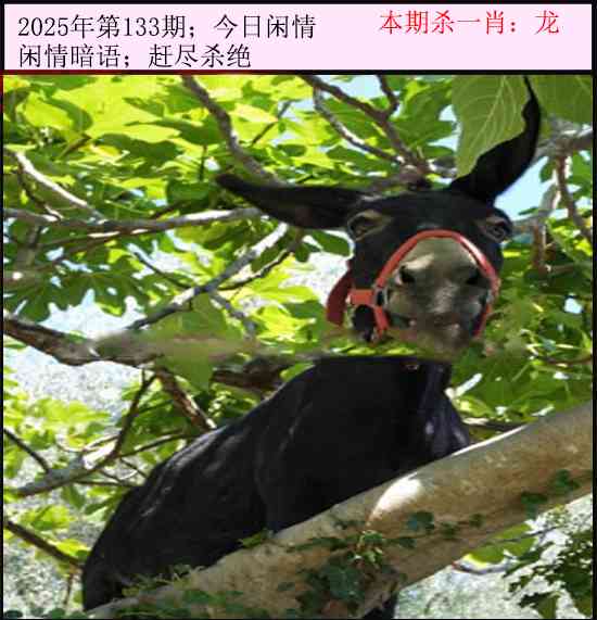 133期今日闲情[图]