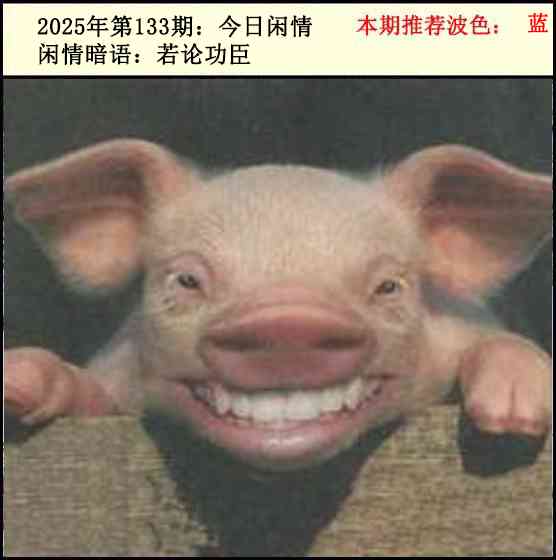 133期今日闲情2[图]
